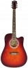 Washburn WA90C RDB Washburn WA90C RDB